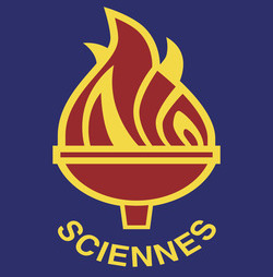 New Sciennes Badge